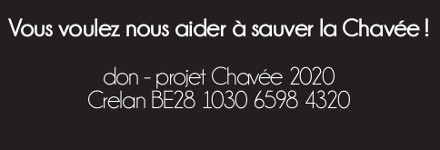 don projet chavee 2020 150